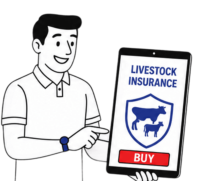 Buy or Renew Livestock Insurance with United Ajod